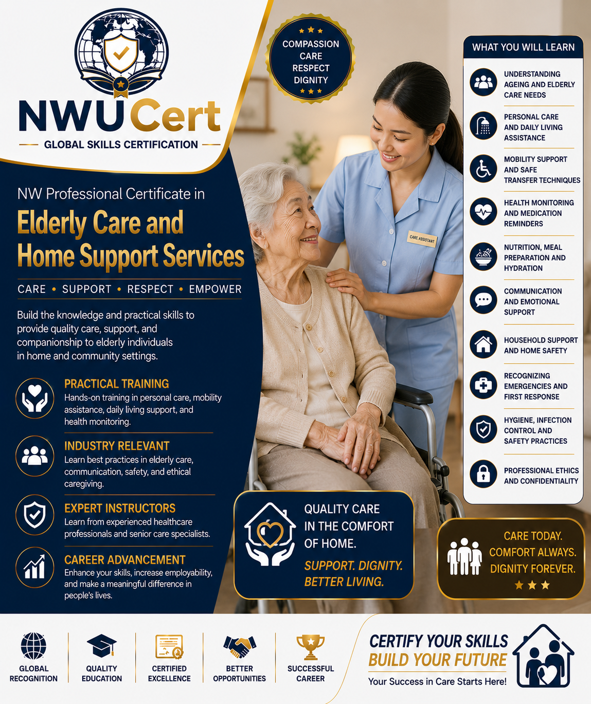 Professional Certificate in Elderly Care and Home Support Services